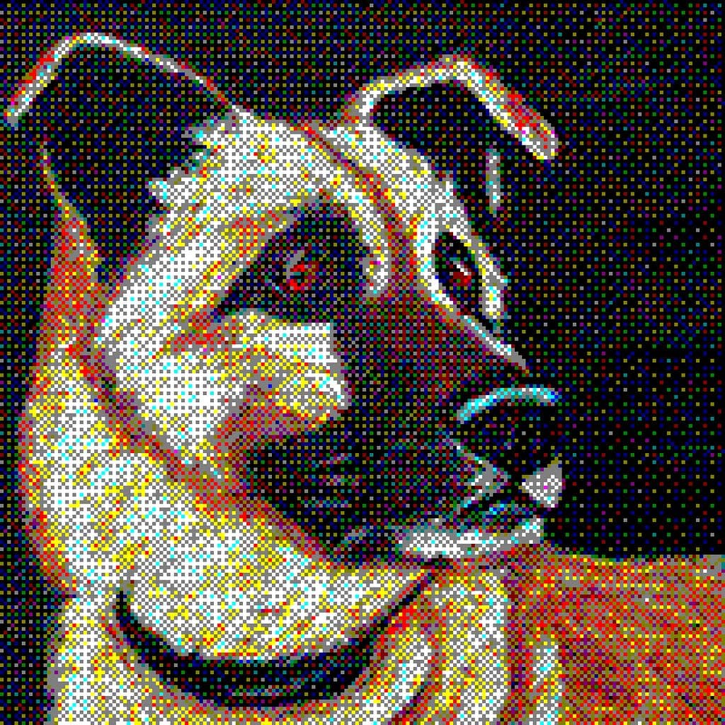 Rex