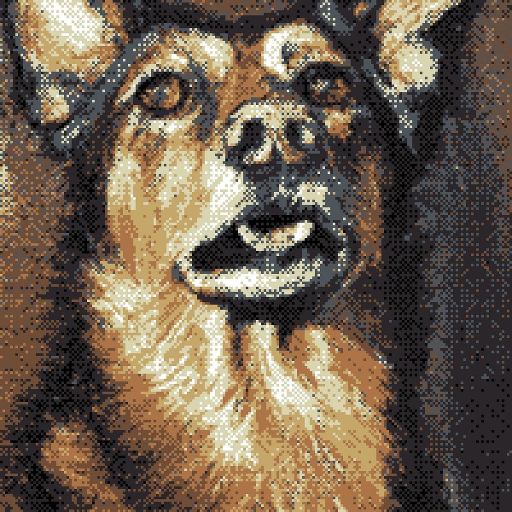 Jack