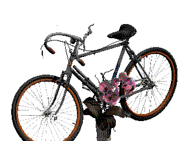 Bike rent