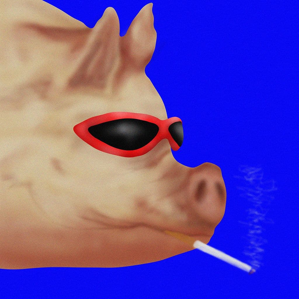 Piggie Small